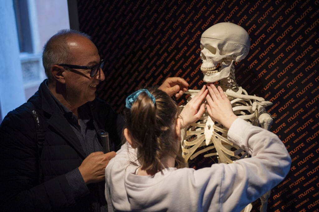 Inside a museum a little girl from behind touches a skeleton with her fingers. Next to her an adult makes the same gestures. 